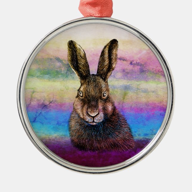 Ornamento de cerámica de dibujo de liebre (Frente)