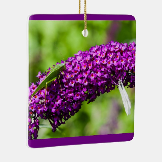 ornamento de cerámica de energía katydid (Derecha)