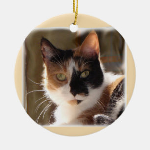 Ornamento de cerámica de la calabaza