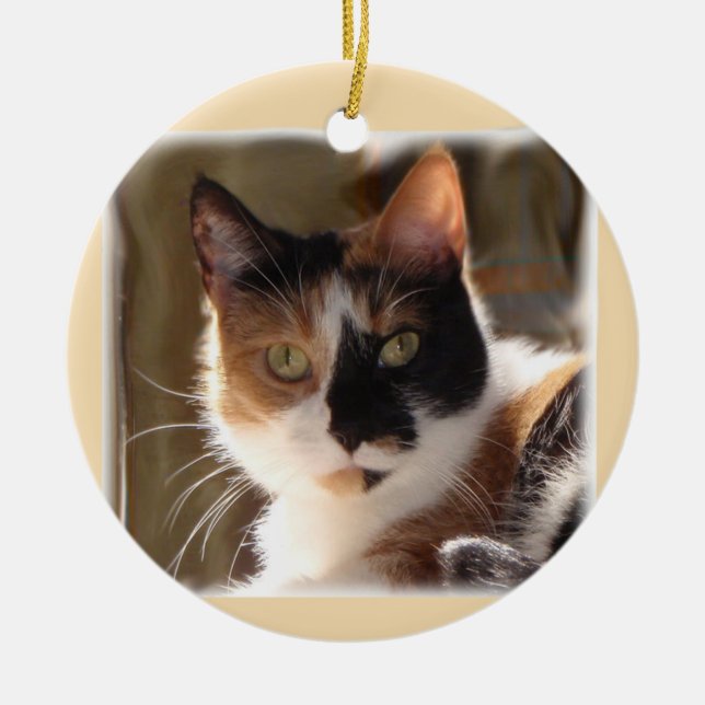 Ornamento de cerámica de la calabaza (Frente)