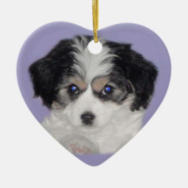 Ornamento de cerámica del amor de Cavachon (Frente)