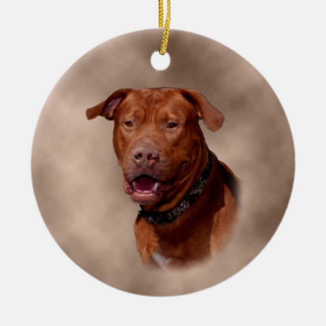 Ornamento de cerámica del árbol de navidad (Frente)