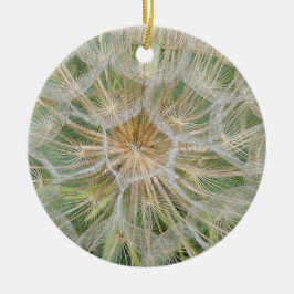 Ornamento de cerámica del salsifí (planta de