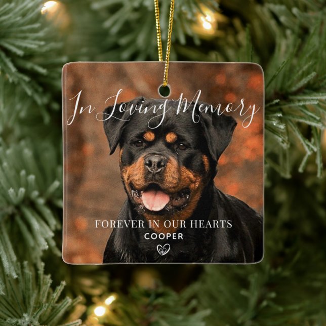 Ornamento de cerámica fotográfica personalizada ma (Árbol)