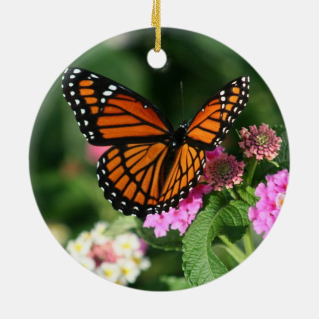 Ornamento de cerámica hermoso de la mariposa de (Atrás)