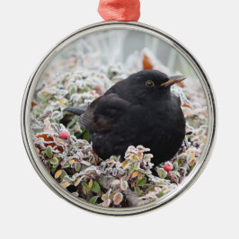 Ornamento de cerámica Winter Blackbird
