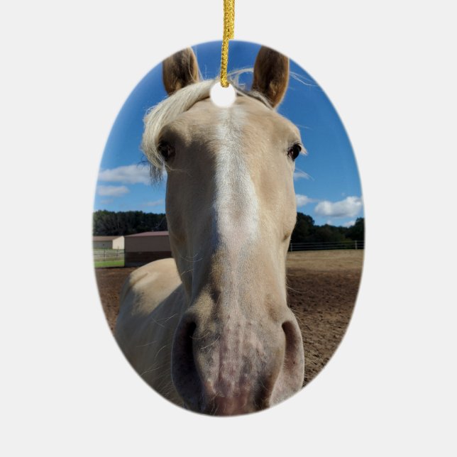 Ornamento de Champagne Tennessee Walking Horse (Frente)