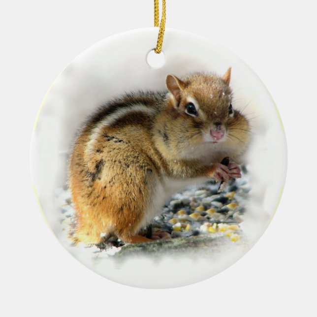 Ornamento de Chipmunk (Frente)