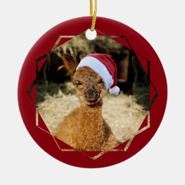 Ornamento de Chirstmas de la alpaca (Frente)