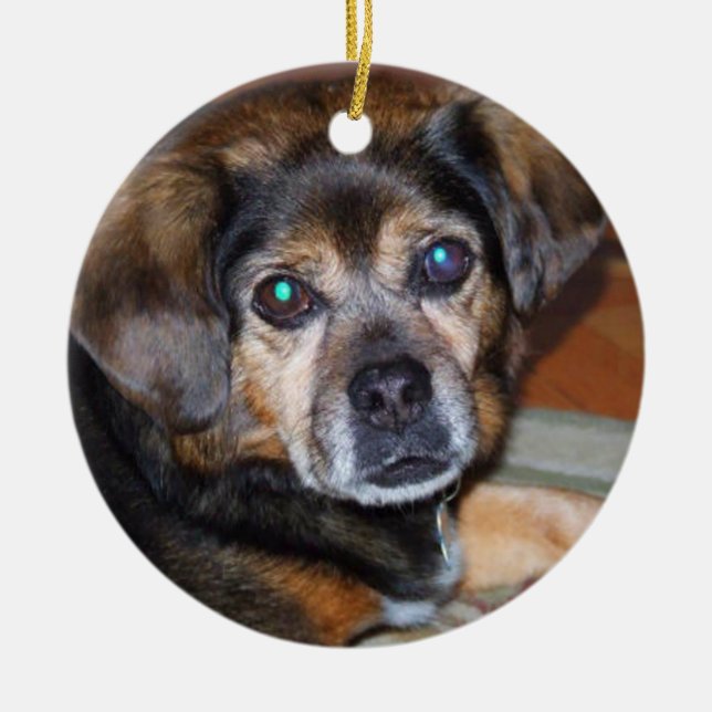 Ornamento de Chrstmas del perro de Puggle (Frente)