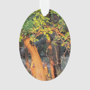 Ornamento de ciervos escondidos detrás de árboles