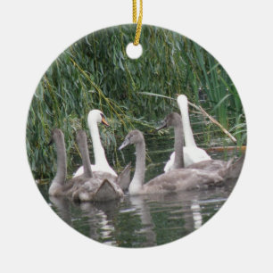 Ornamento de cignetas y cisnes