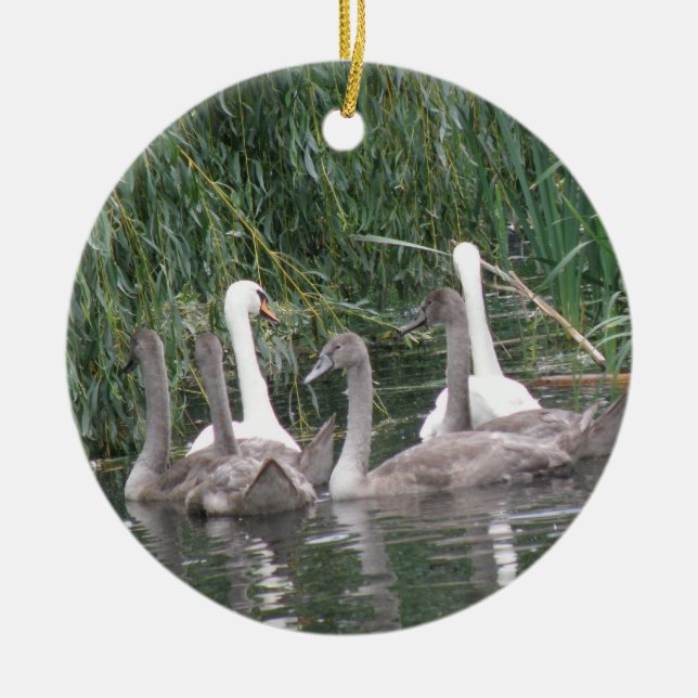 Ornamento de cignetas y cisnes (Frente)