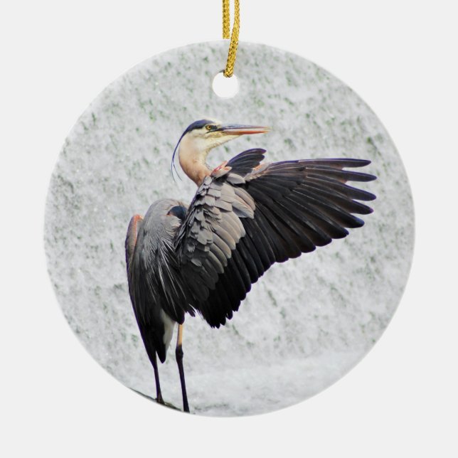 Ornamento de círculo (Frente)