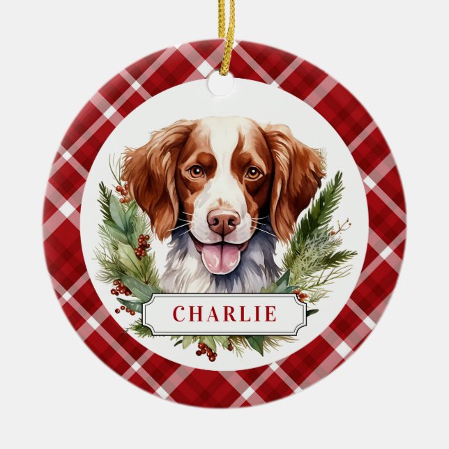 Ornamento de circulo cerámico de Bretaña (Frente)