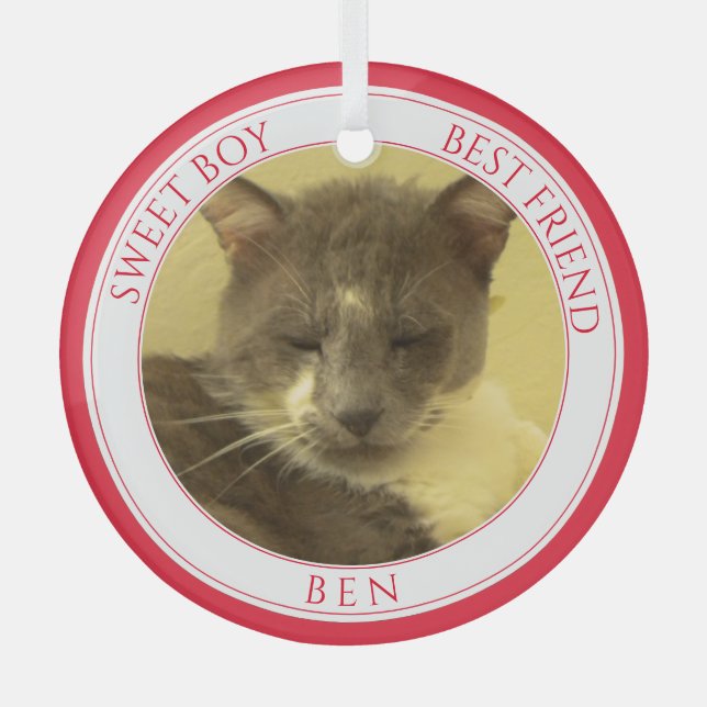 Ornamento de círculo de cristal de amor mascota +  (Anverso)