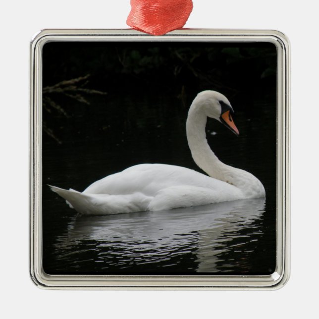 Ornamento de cisne blanco elegante (Frente)