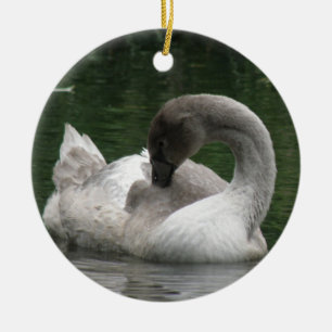 Ornamento de cisne dorado