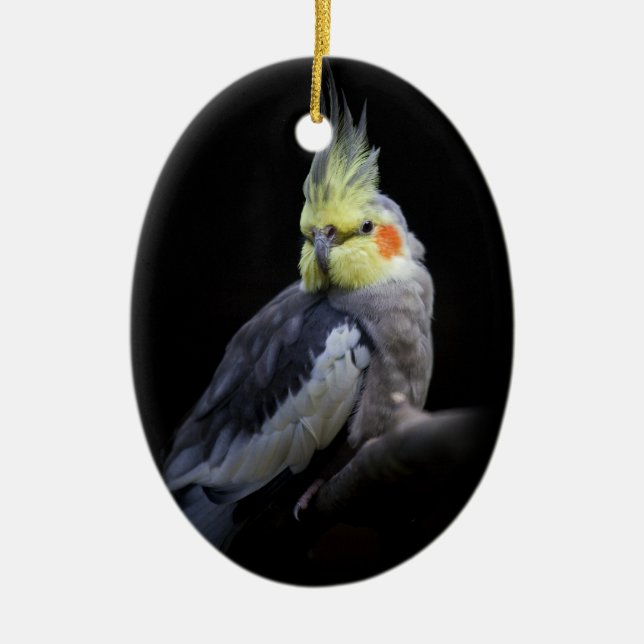Ornamento de Cockatiel (Frente)