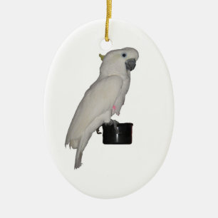 Ornamento de Cockatoo