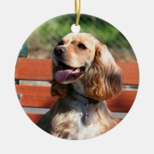 Ornamento de cocker spaniel