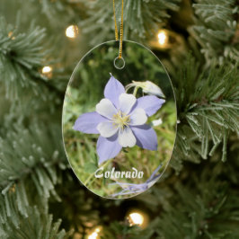 Ornamento de Colorado Blue Columbine