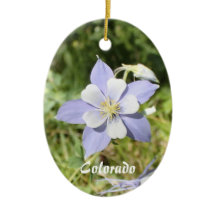 Ornamento de Colorado Blue Columbine