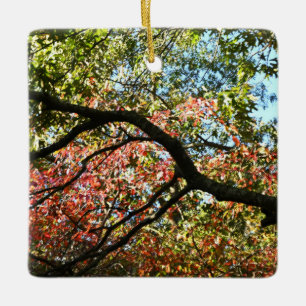 Ornamento de colores otoñales