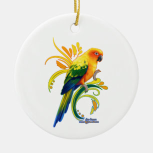 Ornamento de conuro de sol