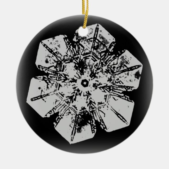 Ornamento de copo de nieve 1 (Frente)
