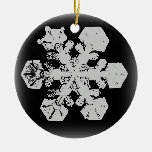 Ornamento de copo de nieve 3 (Frente)