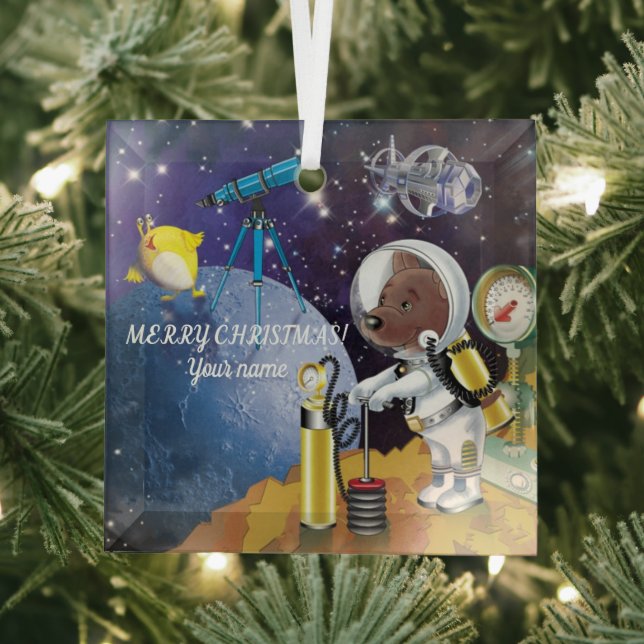 ornamento de cosmos (in situ)