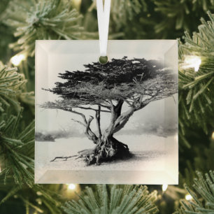 Ornamento de cristal de ÁRBOL DE PLAYA