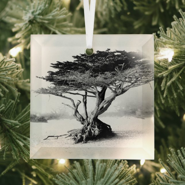 Ornamento de cristal de ÁRBOL DE PLAYA (in situ)