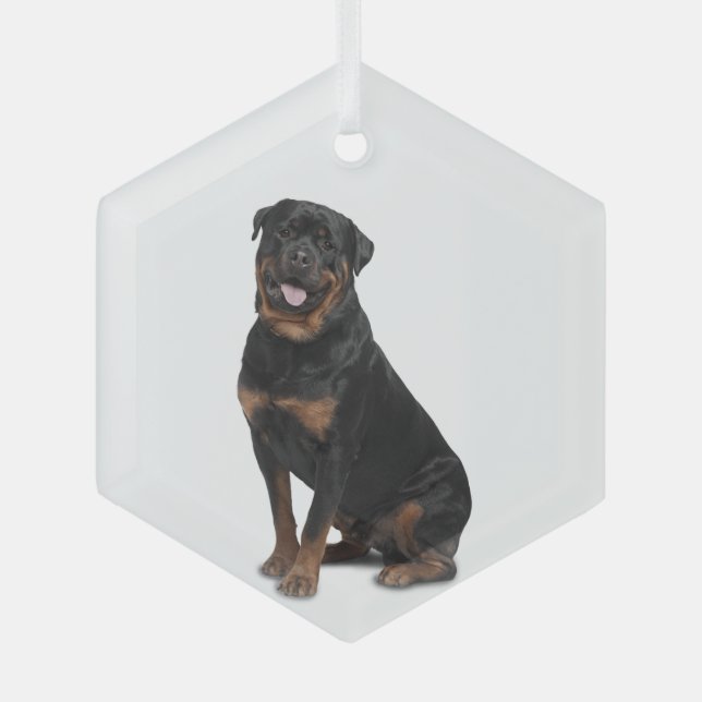 Ornamento de cristales animales de Rotweiller Dog  (Anverso)