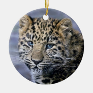Ornamento de Cub Leopard