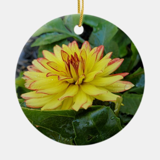 Ornamento de Dahlia (Frente)