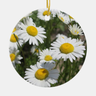 Ornamento de Daisies