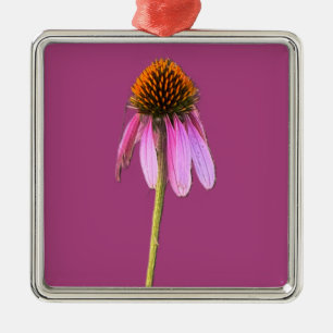 Ornamento de deflor morado