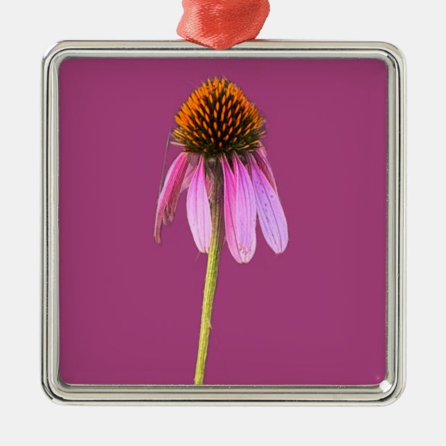 Ornamento de deflor morado (Frente)