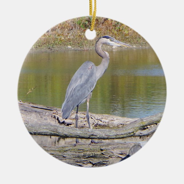 Ornamento de doble cara de la garza azul (Frente)