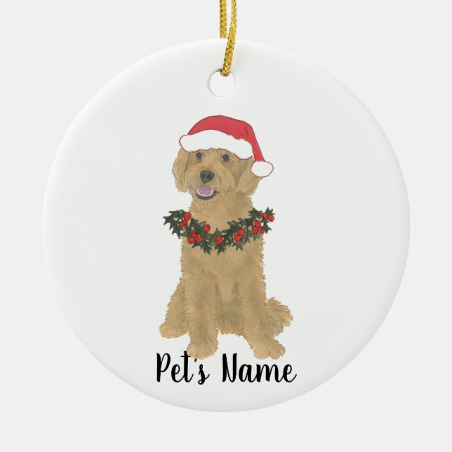 Ornamento de Doodle Personalizado (Apricot Rojo Do (Frente)