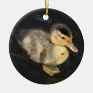 Ornamento de duckling