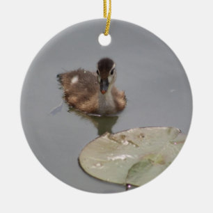 Ornamento de duckling
