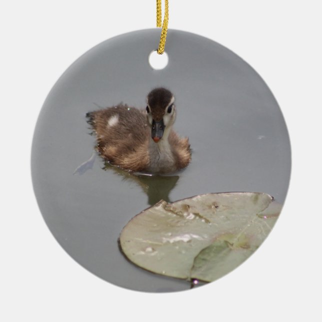 Ornamento de duckling (Frente)