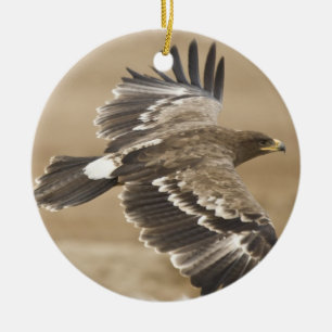 Ornamento de Eagle del vuelo