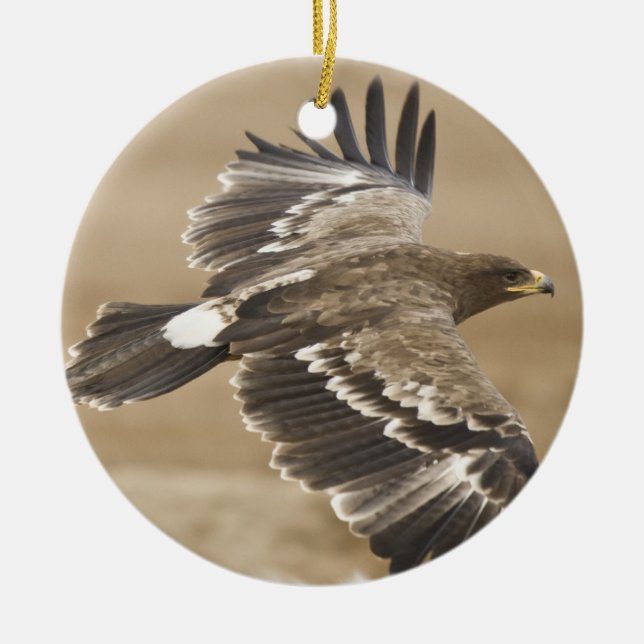 Ornamento de Eagle del vuelo (Frente)