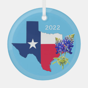 Ornamento de esquema de estado de Texas y Bluebonn