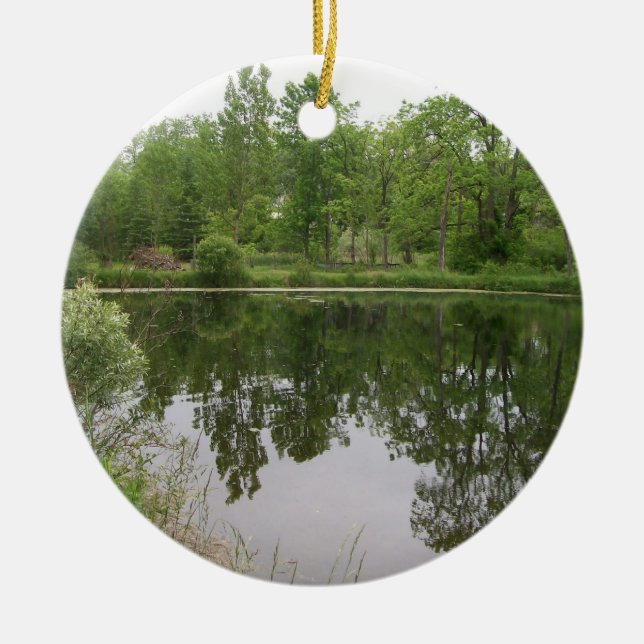 Ornamento de estanques (Frente)