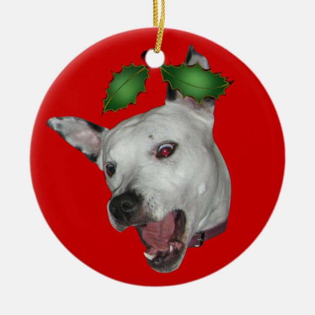 Ornamento de Facemauler del beso (Frente)